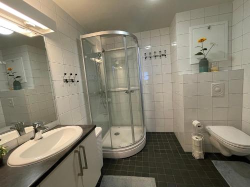 ein Bad mit einer Dusche, einem Waschbecken und einem WC in der Unterkunft Sea View City Apartment in Tromsø