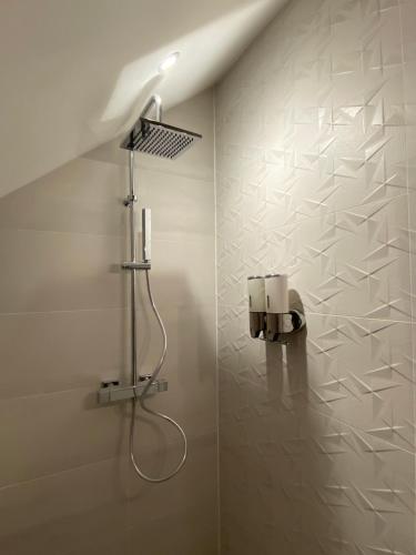 un baño con ducha con cabezal de ducha en Logement Loire climatisé, La Halte de Cuze, aux abords de la Loire a vélo, en Huismes