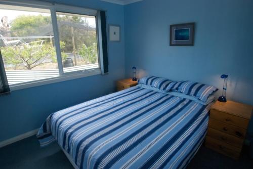 a blue bedroom with a bed and a window at Bambra Reef Lodge in Sandford
