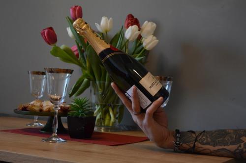 Visilo Apartment Split