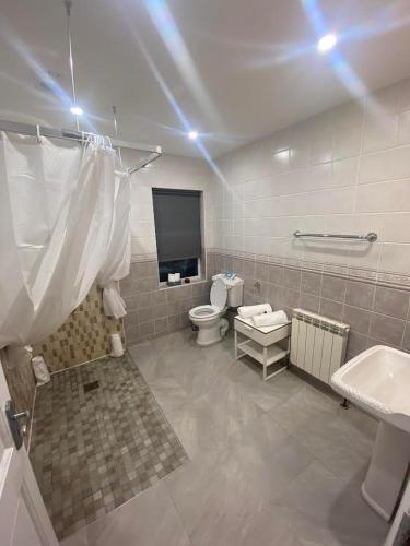 a bathroom with a toilet and a tv in it at SeaClusion Barna in Barna