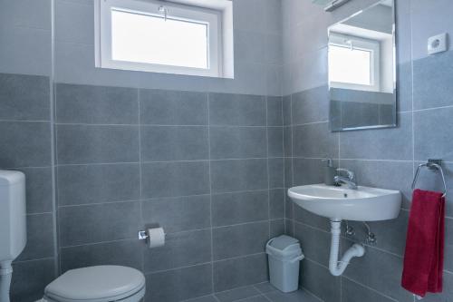 a bathroom with a sink and a toilet and a mirror at Gerardus Apartmani in Vršac