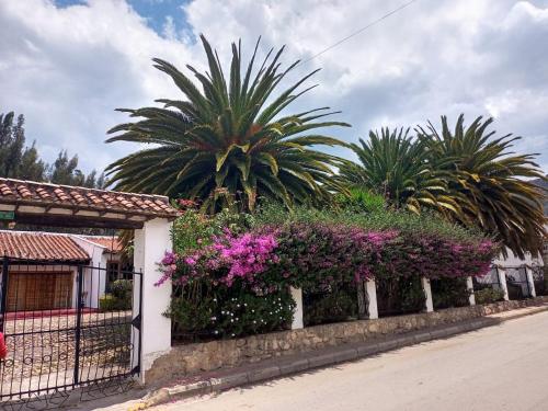 a fence with pink flowers and palm trees on a street at Hotel MAXIRUMA - Villa TAMAUKA in Iza