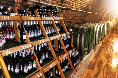a bunch of wine bottles in a cellar at Penzion - Vinařství Hanuš in Blučina