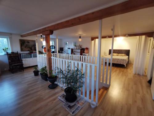 Tofta Konstgalleri-Familjelägenhet في فاربرغ: غرفة معيشة مع خزاف نباتات على أرضية خشبية