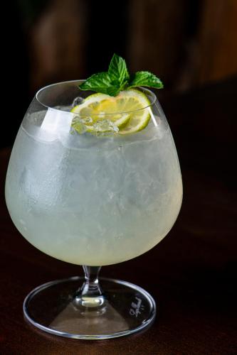 a martini glass with a drink with a green garnishment at Solar Madariaga Hotel in Vicuña