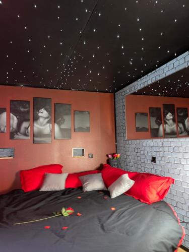 ein Schlafzimmer mit einem großen Bett mit roten Kissen in der Unterkunft Cosyroom25 in Besançon