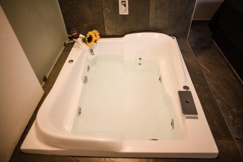 Un baño de Hotel RM Avandaro
