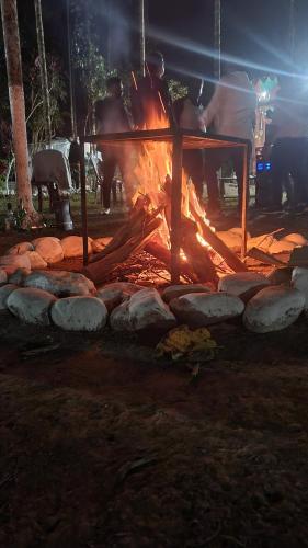 Galeriebild der Unterkunft Ayush Jungle Resort in Jalpāiguri