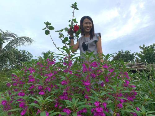 a woman is standing behind a bush with purple flowers at โฮมสเตย์บ้านนายสิงโตเขาคูหา in Ban Khu Ha Nai (1)