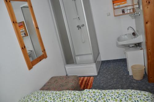 baño con ducha, cama y lavamanos en Haus Dachstein Schnitzer, en Eben im Pongau