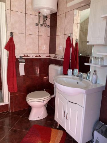 a bathroom with a white toilet and a sink at Vineyard Cottage Slanc in Metlika