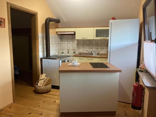 uma cozinha com um frigorífico branco e um balcão em Vineyard Cottage Slanc em Metlika