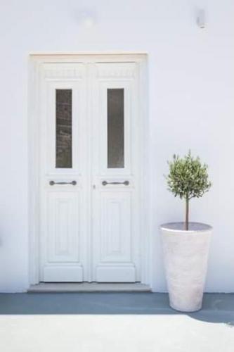a plant in a pot in front of a door at Grannys Villas finiki in Karpathos Town