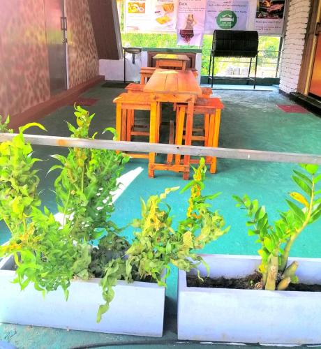 Bed and breakfast cabin – Photos 2
