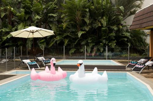 three swans in the water in a swimming pool at Rydges Camperdown in Sydney
