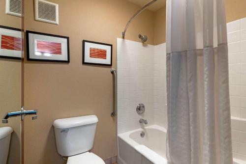 a bathroom with a toilet and a tub and a shower at Comfort Inn & Suites Salem Northeast in Salem
