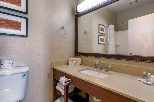 ein Badezimmer mit Waschbecken, Toilette und Spiegel in der Unterkunft Comfort Inn & Suites Seattle North in Seattle