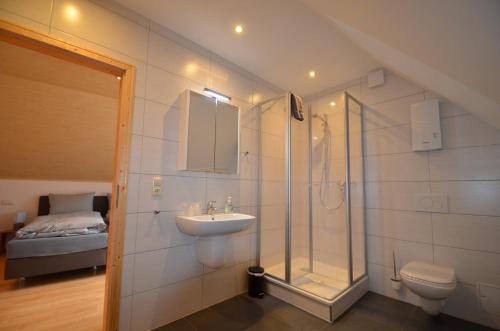 La salle de bains est pourvue d'une douche, d'un lavabo et de toilettes. dans l'établissement Hofgut Metzler, à Gau-Heppenheim