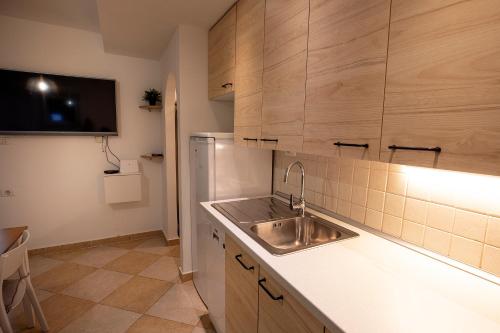 eine Küche mit einer Spüle und einer Arbeitsplatte in der Unterkunft Apartma Categorical in Portorož