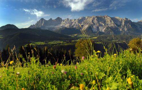 a field of grass with mountains in the background at Apartment Österreich in Ramsau am Dachstein