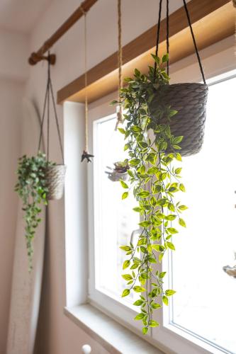 two potted plants hanging from a window at Spacious Beach Flat in Costa Caparica by Soulplaces in Costa da Caparica