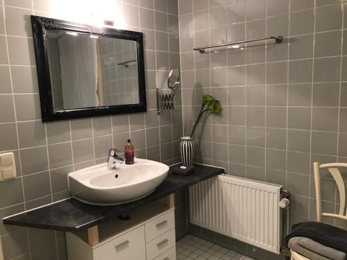 a bathroom with a sink and a mirror at Lilienzimmer in Karlstadt