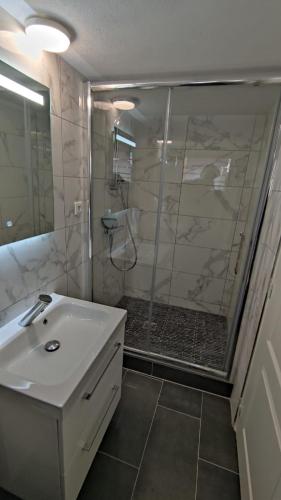 La salle de bains est pourvue d'une douche, d'un lavabo et d'une douche en verre. dans l'établissement Studio Deluxe Marc - hébergement de tourisme classé avec parking gratuit, à Strasbourg