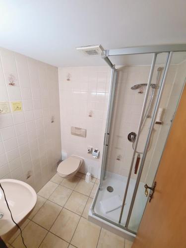 a bathroom with a shower and a toilet and a sink at Landgasthof Böck in Unterbrunn