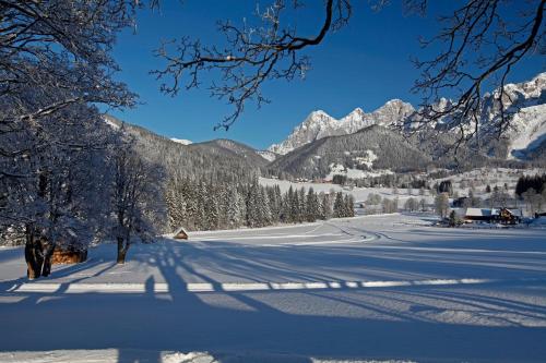 a snow covered field with trees and mountains in the background at Apartment Österreich in Ramsau am Dachstein