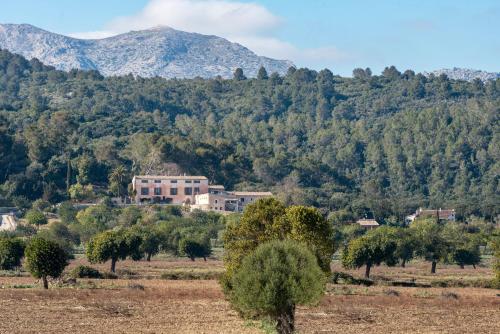 Finca Son Cladera – Photos 4