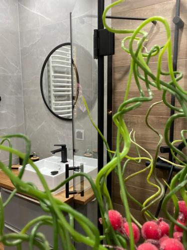 a bathroom with a sink and a mirror at Babie Domki in Zawoja