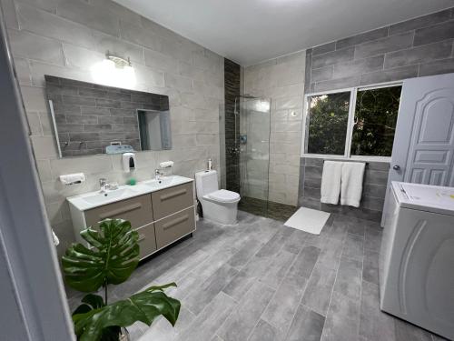 a bathroom with a sink and a toilet and a mirror at Apartamento Carey in Cabrera
