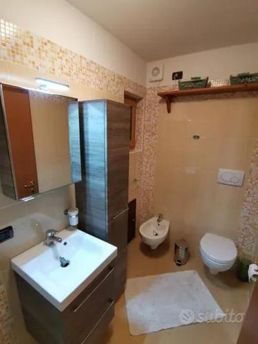a bathroom with a sink and a toilet at Spazioso trilocale sulle piste da sci in Folgarida