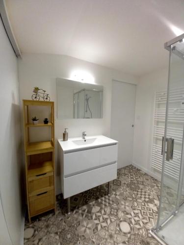 une salle de bain avec un lavabo blanc et une douche dans l'établissement Gîte 'Chez Joseph et Cie' -8 mn du Puy du Fou, aux Herbiers