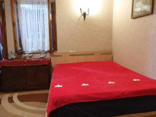 ein Schlafzimmer mit einer roten Decke auf einem Bett in der Unterkunft Apartmnet on Machabeli 20 in Tbilisi City