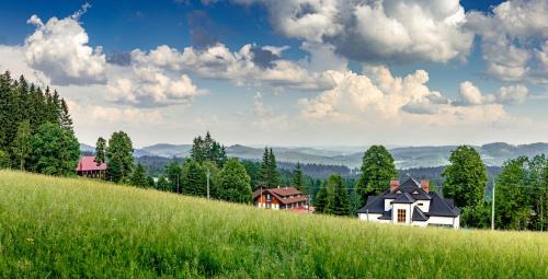 een groep huizen op een heuvel met groen gras bij Bezručova škola in Staré Hamry