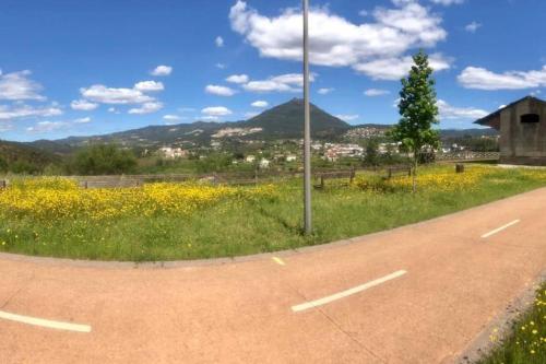 an empty road with a field of flowers and a mountain at Casas do Paço - Casas de Férias in Cabeceiras de Basto