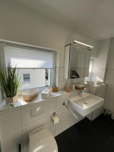 een badkamer met een toilet, een wastafel en een spiegel bij komfortable Ferienwohnung in Halle-Kröllwitz in Kröllwitz