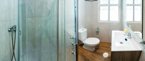 a bathroom with a shower and a toilet and a sink at Apartment Triana 2 in Seville