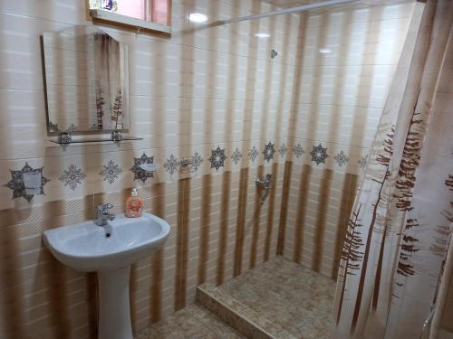 a bathroom with a sink and a shower at H.A.S.K in Gyumri