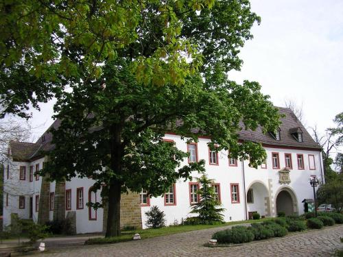 a white house with a tree in front of it at Schloss Triestewitz in Arzberg