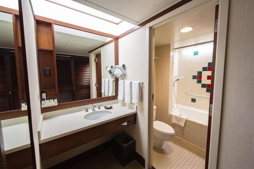 a bathroom with a sink and a toilet and a mirror at Alyeska Resort in Girdwood