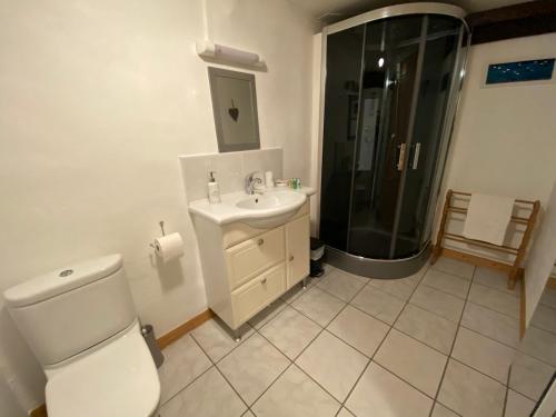 La salle de bains est pourvue de toilettes, d'un lavabo et d'une douche. dans l'établissement La Porcherie, à Saint-Mathieu