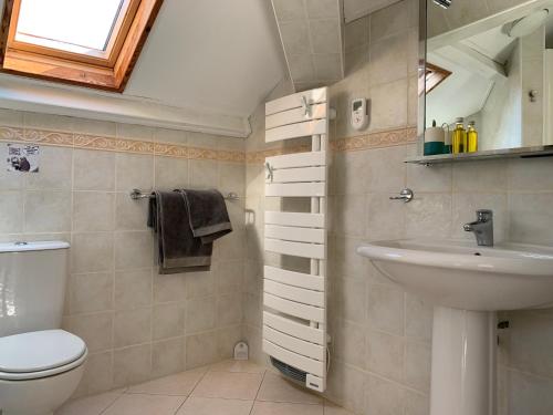 a bathroom with a toilet and a sink at A Muvrella in Pioggiola