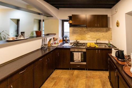 a kitchen with wooden cabinets and a counter top at Pension Master in Sinaia