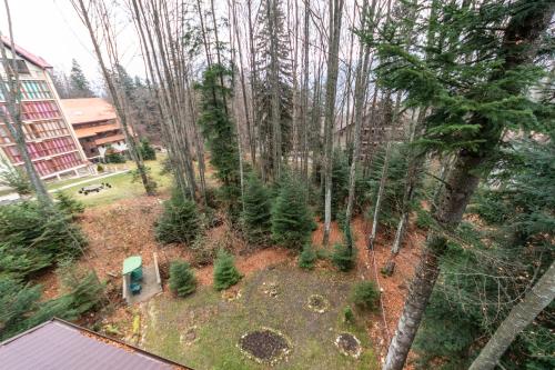 an aerial view of a garden with christmas trees at Pension Master in Sinaia