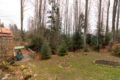 a yard with a picnic table and christmas trees at Pension Master in Sinaia