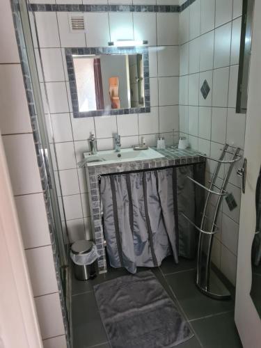 une salle de bain avec un lavabo et un miroir dans l'établissement maisonnette à la campagne, à San-Gavino-di-Carbini