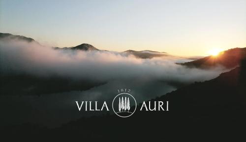 Imagen de la galería de Villa Auri, en Vila Nova de Foz Cõa